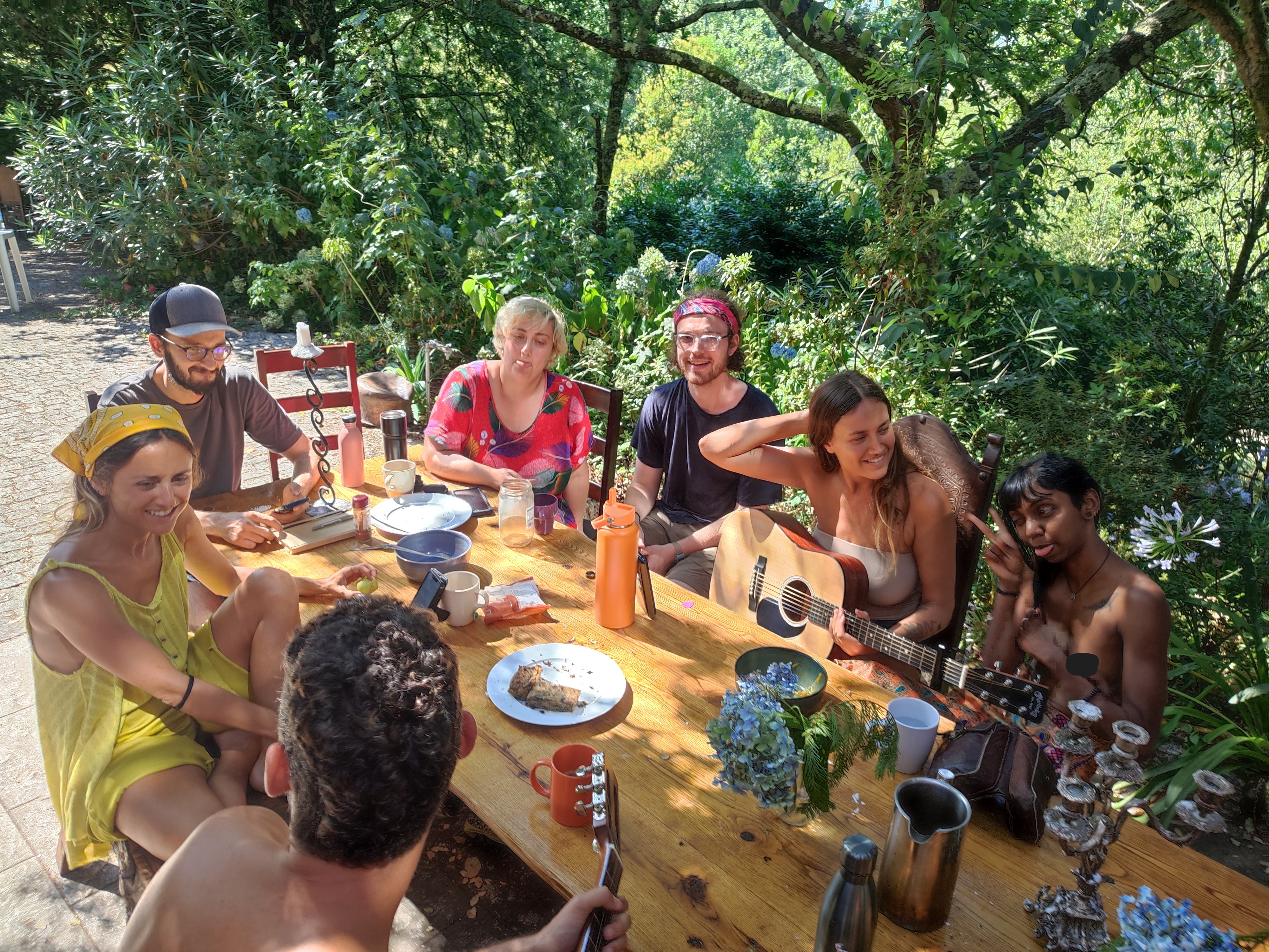 Lunch with trees and guitars — lunch without trees and guitars