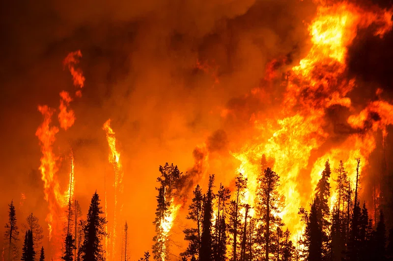 Comments - Was that a big wildfire? - by Hannah Ritchie