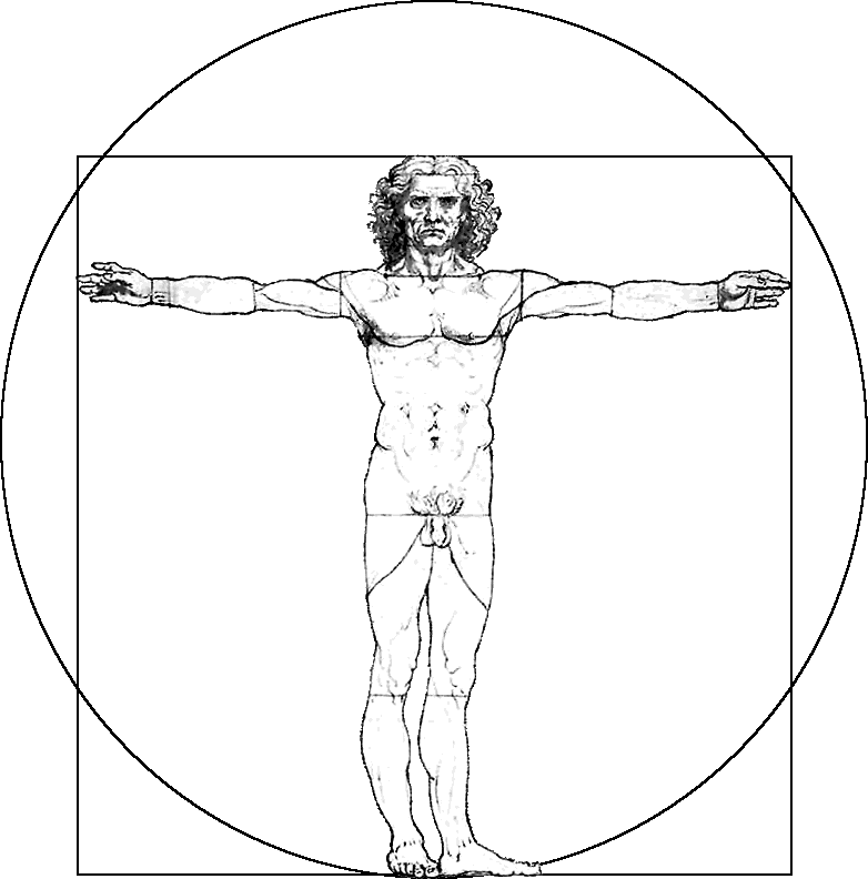 Animated Vitruvian Man diagram with arms extended inside a circle and square