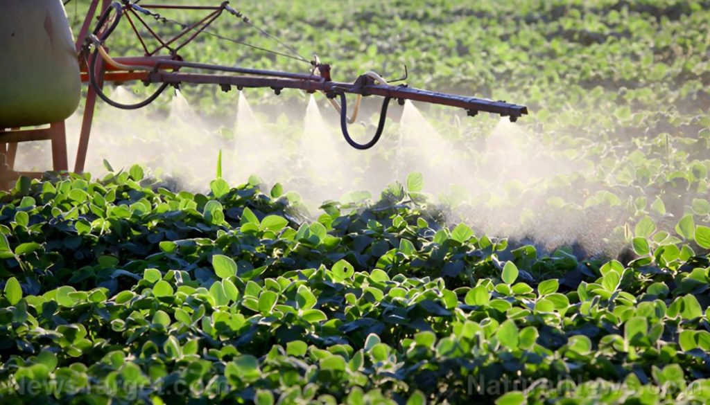 DEADLY chemical herbicide GLYPHOSATE gets DOUSED onto U.S. wheat, barley, rye and beans as a DRYING AGENT before harvest