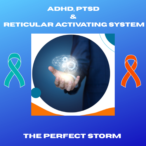 Manage ADHD and PTSD while in chaos!