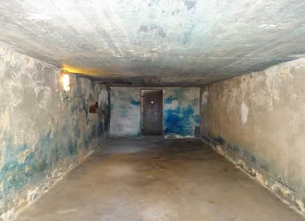 Remarkable Holocaust Nonsense #70: Dr. Mengele Rescues a Polish Woman Mid-Gassing Remarkable Holocaust Nonsense #70: Dr. Mengele Rescues a Polish Woman Mid-Gassing