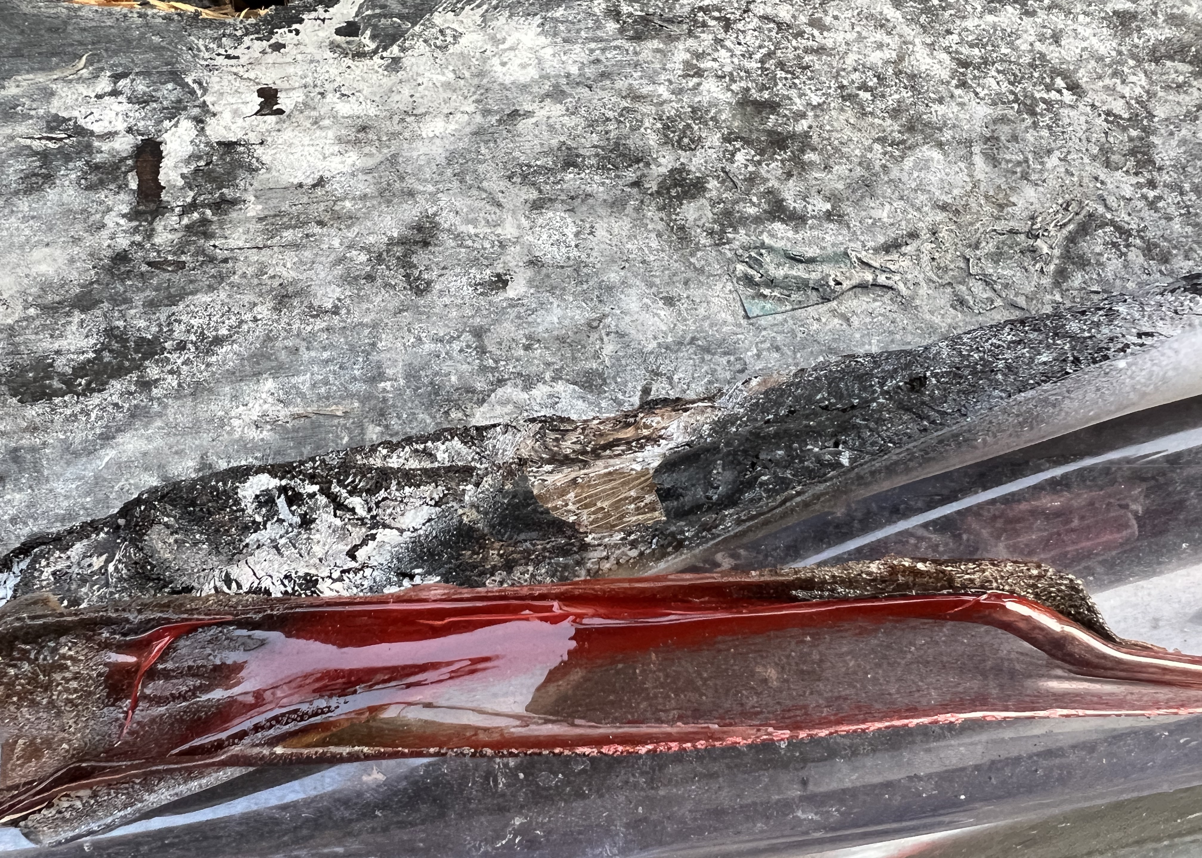 Dolby Atmos and your phone (June 23 2023)