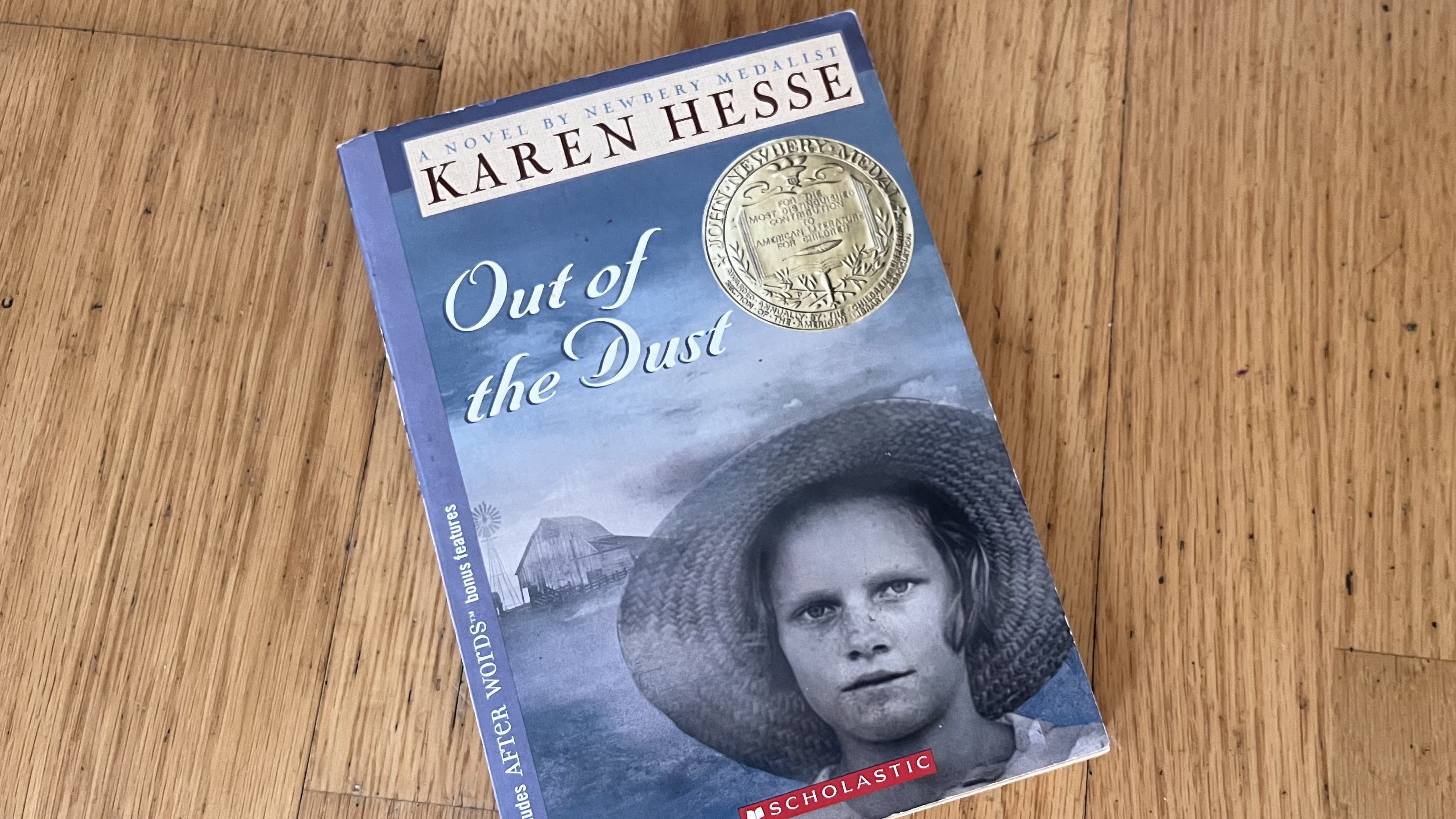 The Verse Novel: What is it? And How to write one