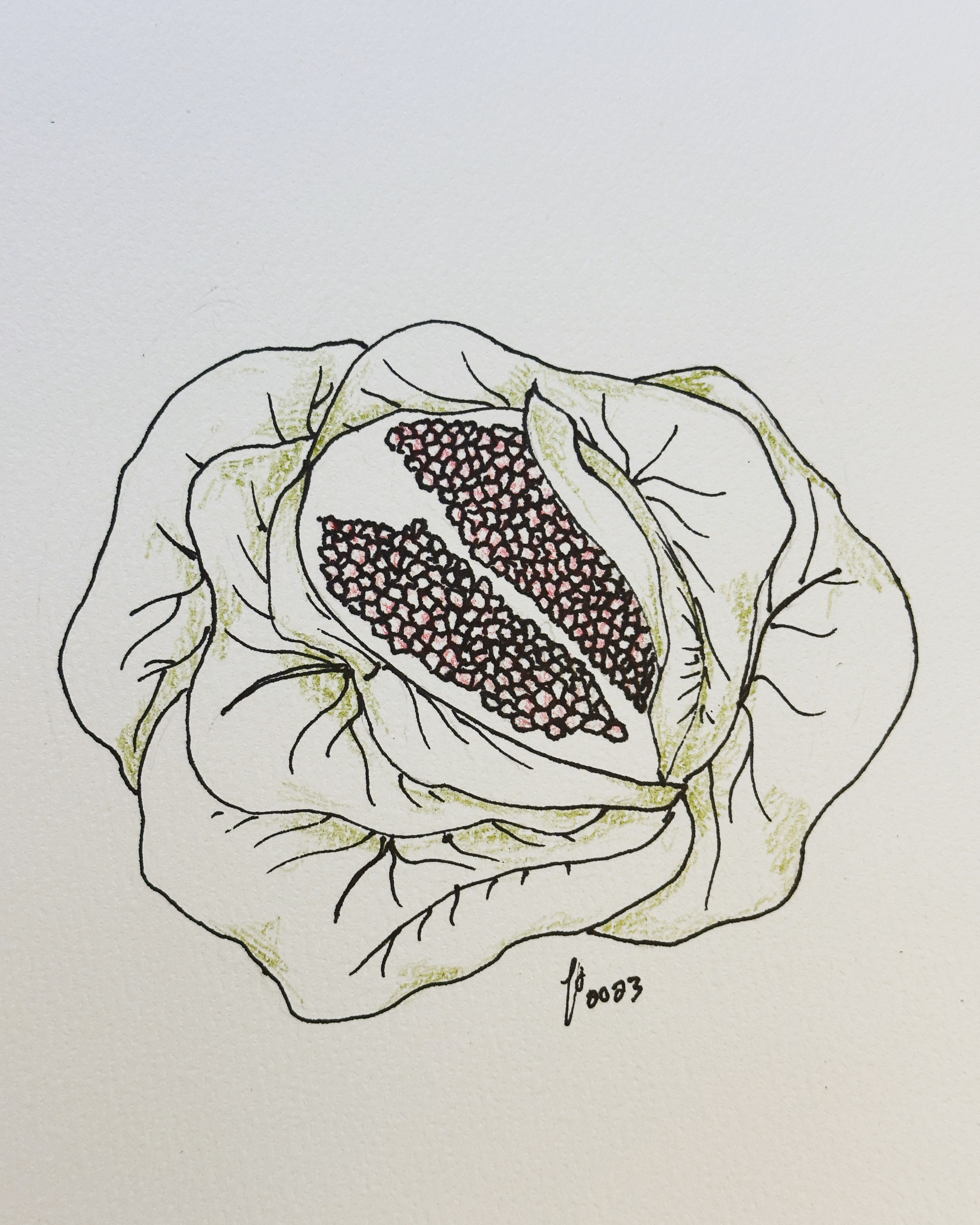 Pomegranate Sauerkraut