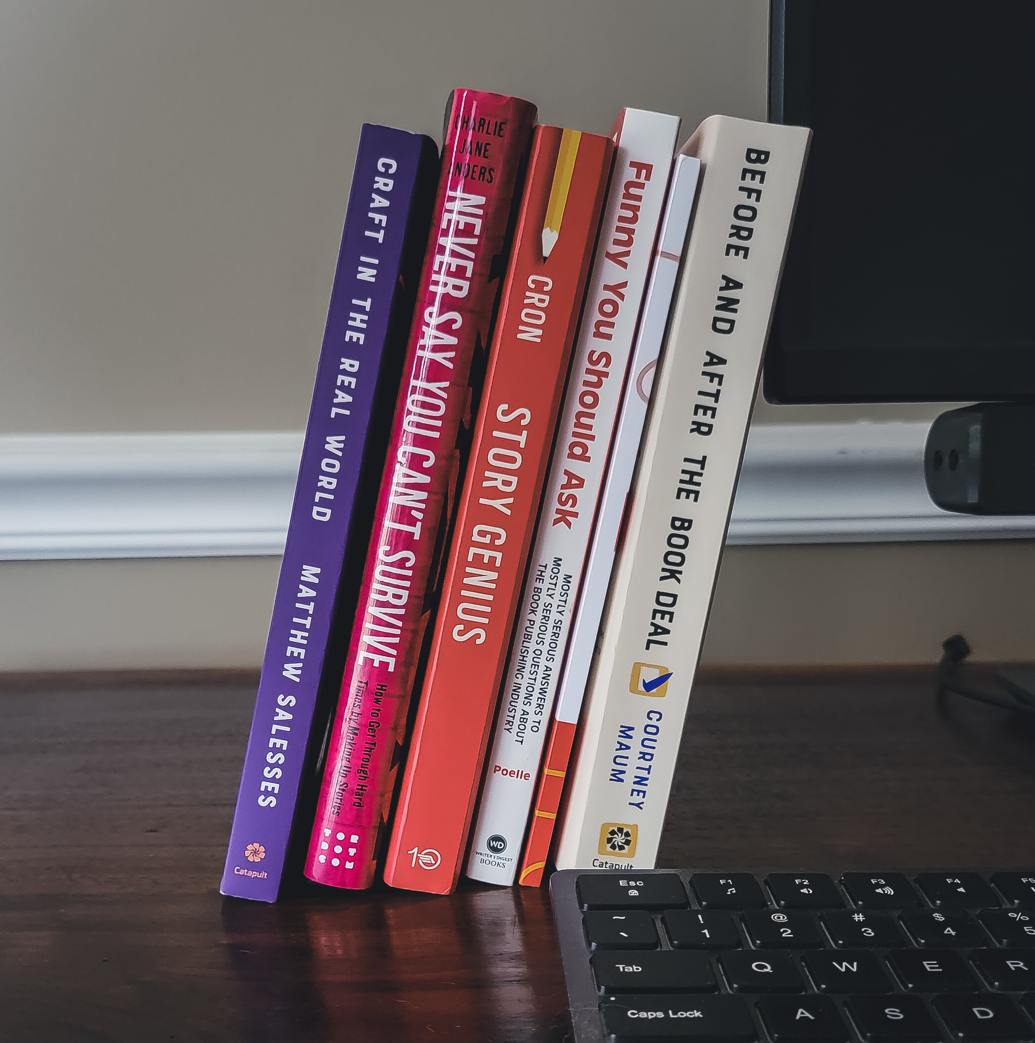 Copies of my recommended writing craft books leaning against a computer monitor.