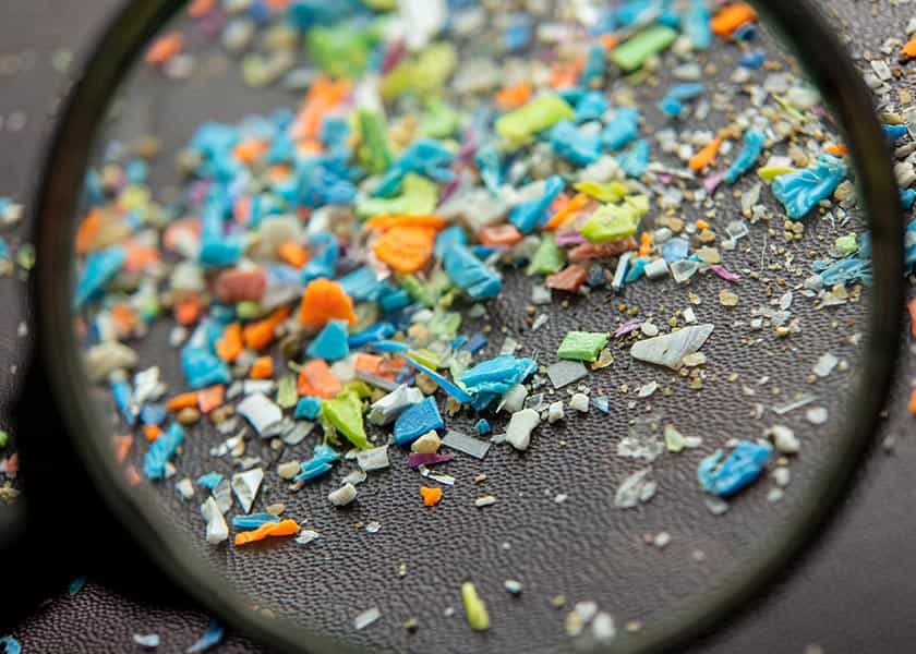 Microplastics Trigger Mitochondrial Stress in Human Liver Cells