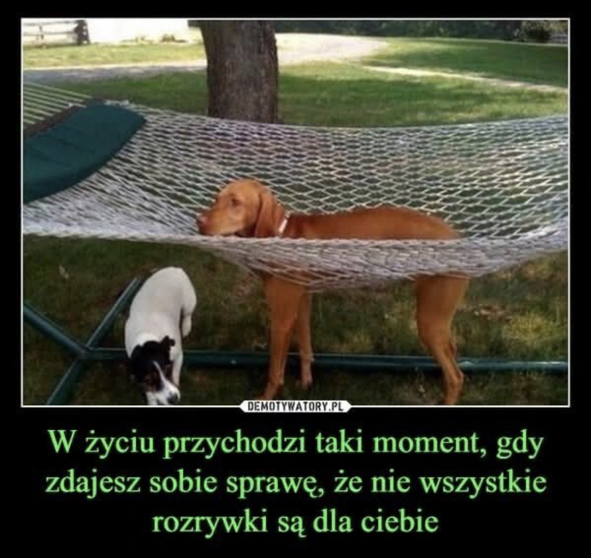 mem o rozrywkach, które nie są dla każdego