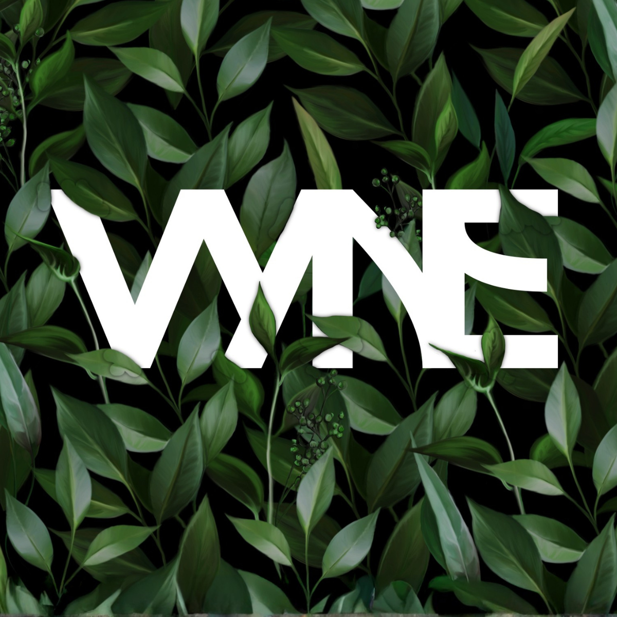 Substack banner for @vyne