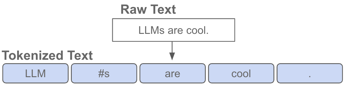 Decoder-Only Transformers: The Workhorse of Generative LLMs