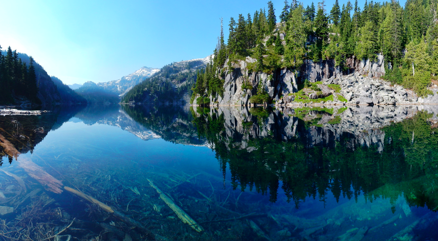 No one is coming to save me