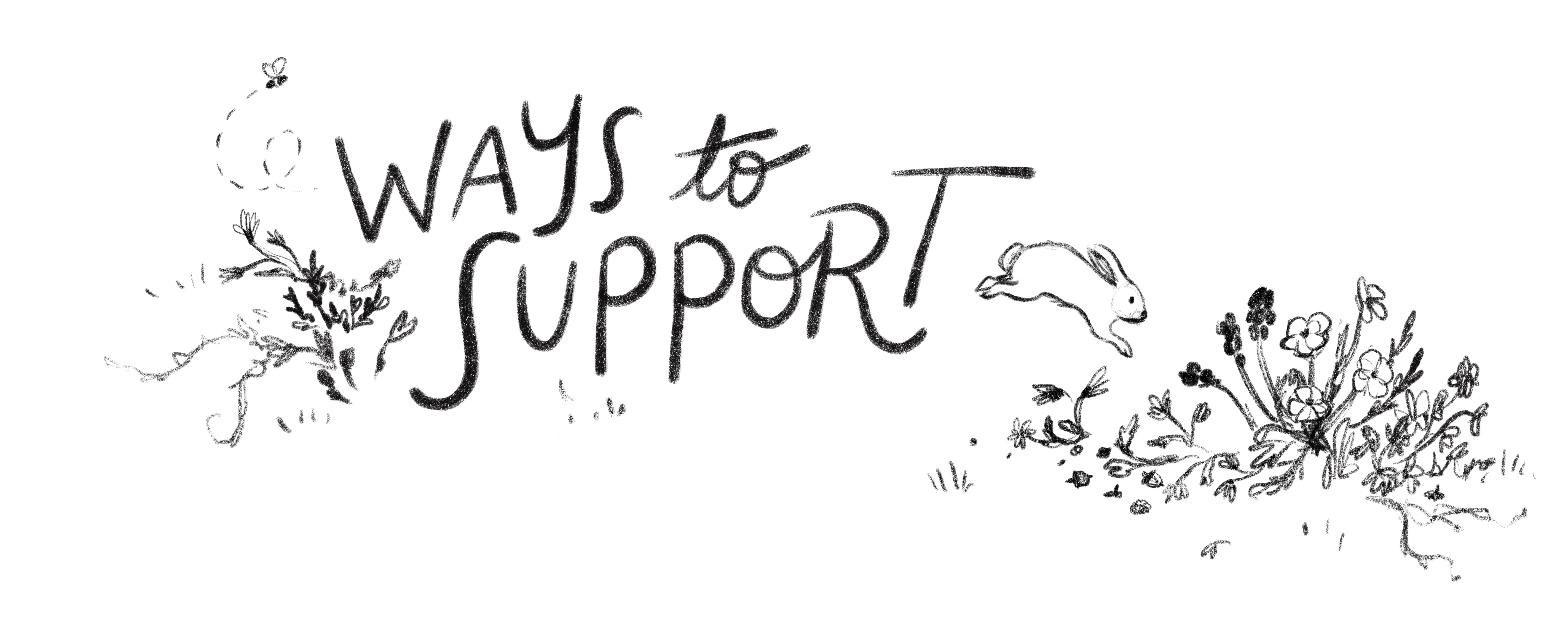 Header-Support-Gracie-Klumpp.jpg