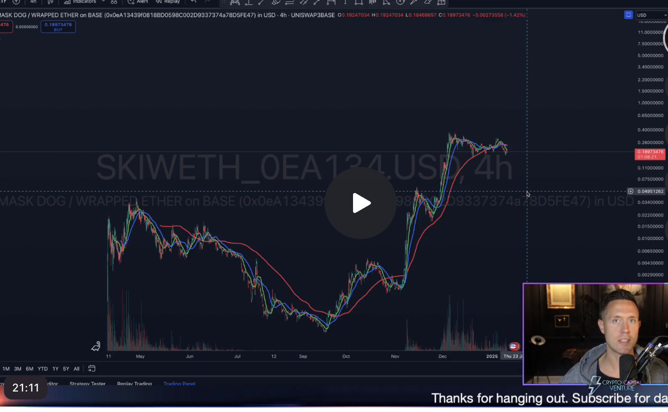 ADA, DOG, & ???: My CONTROVERSIAL Crypto Bull Market Strategy