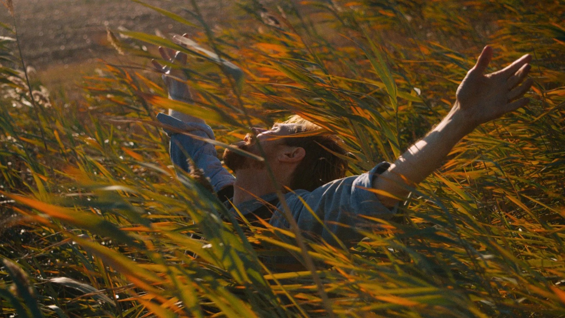 Film still of a man in a wheat field with both arms extended toward the sky