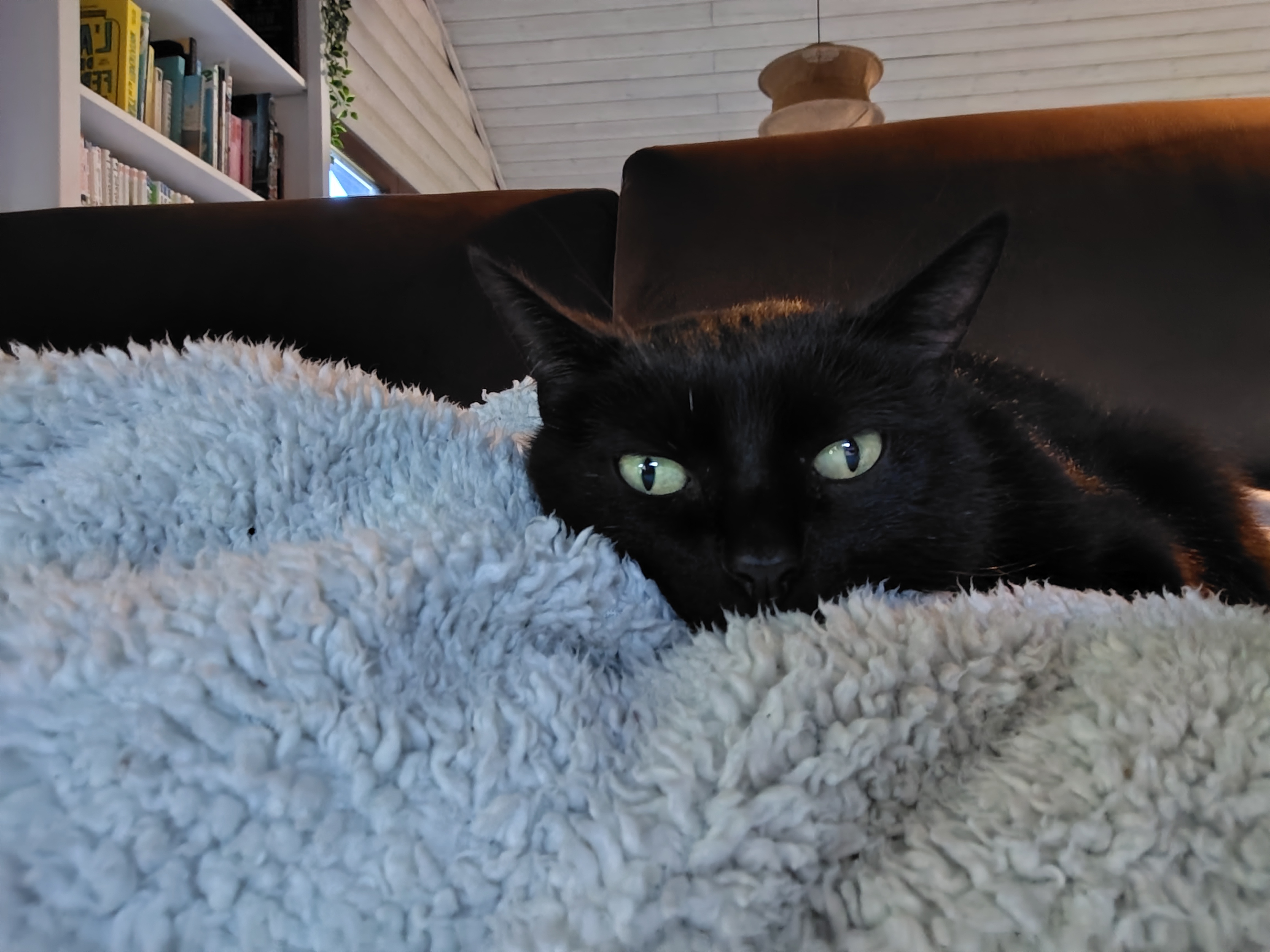 Une année à moi (ou Un an à patouiller pour sortir du salariat)