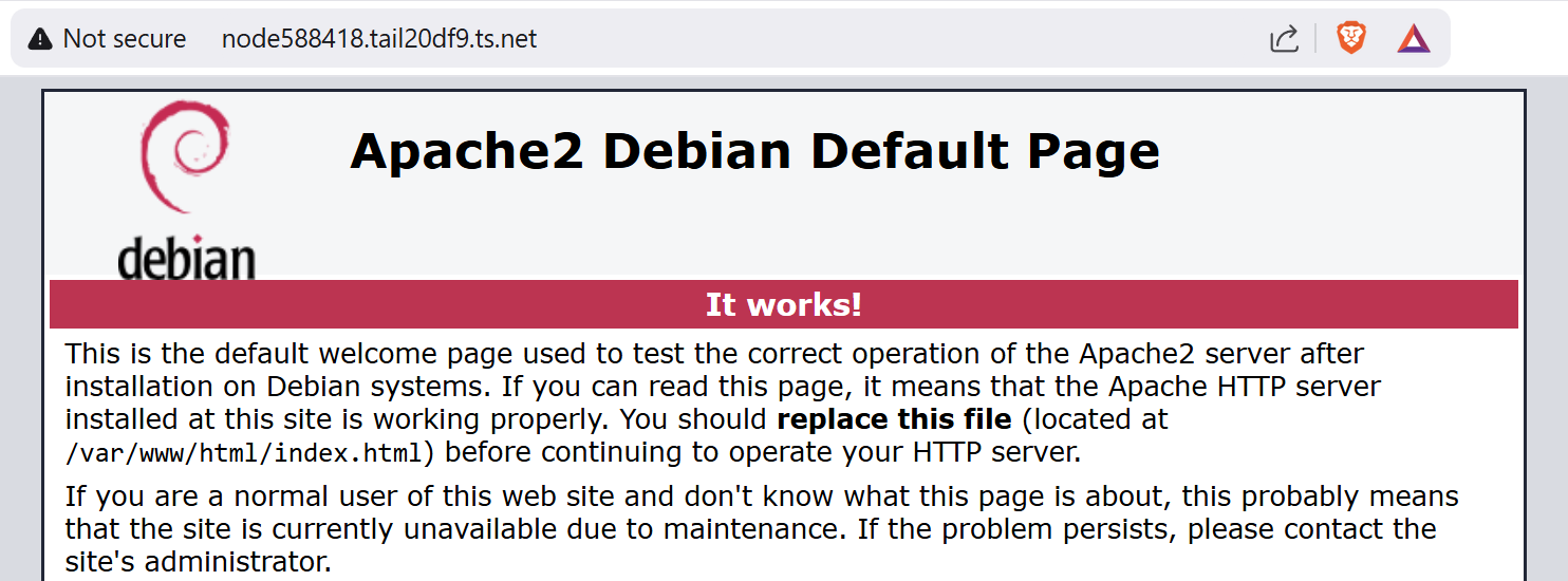 Browsing to URL shows the web server is running