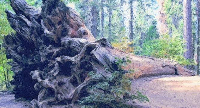 nevertheless, we persist