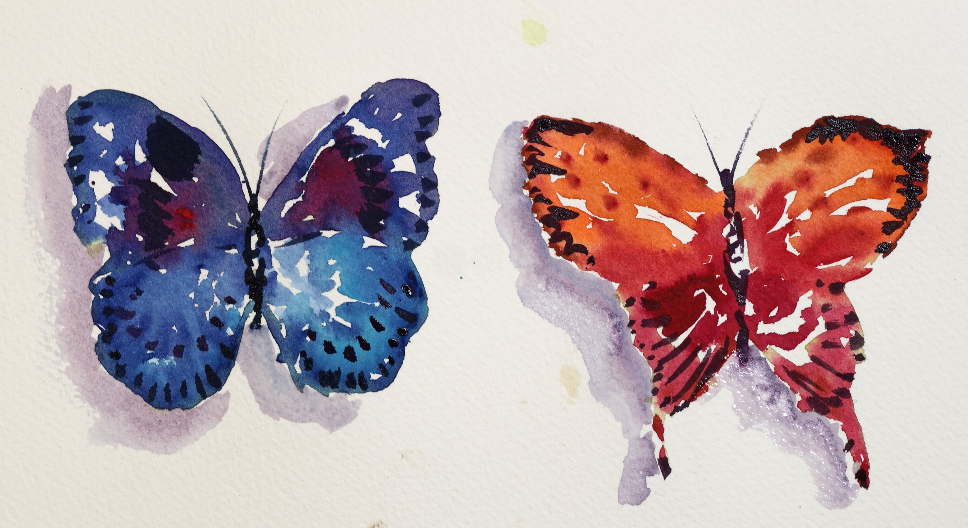 Butterfly Season