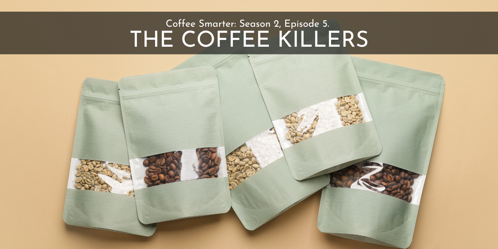 The Coffee Killers: Storing Your Roasted Coffee
