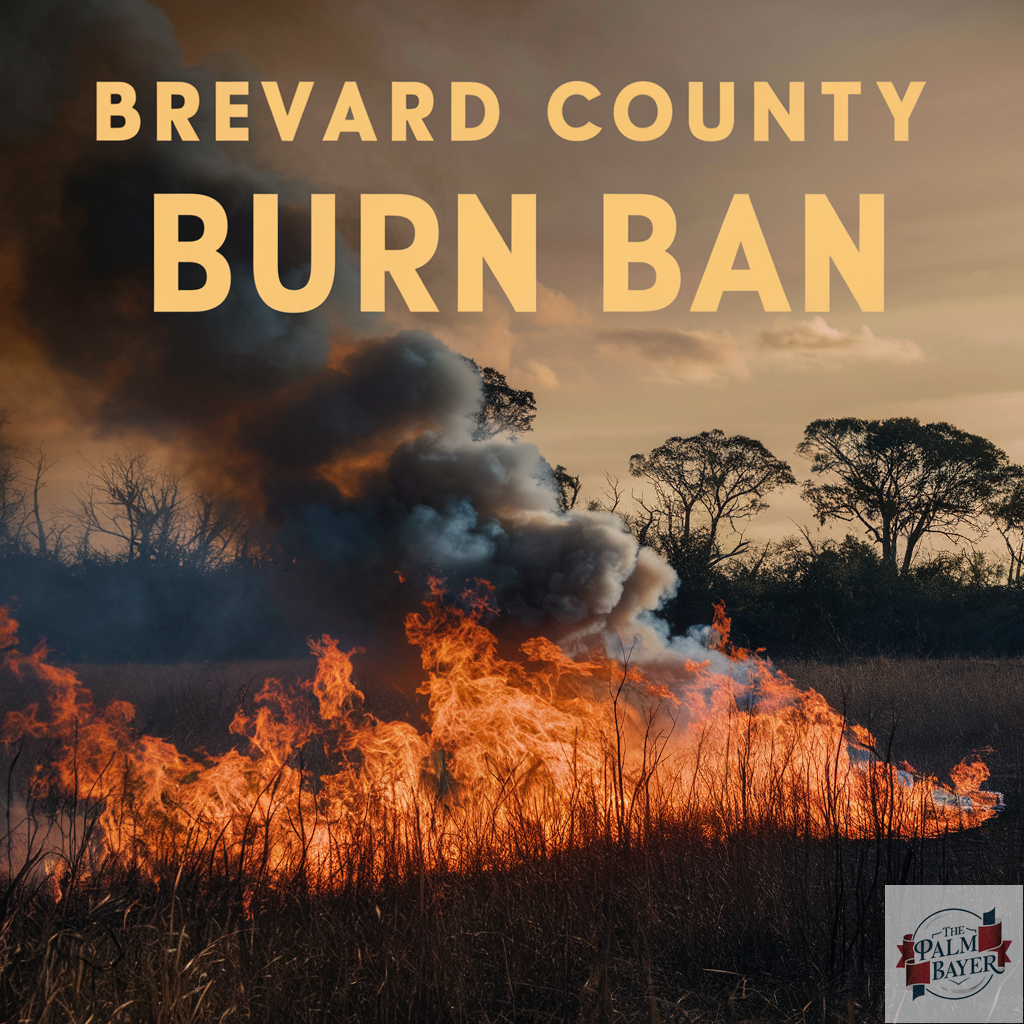 Image for article: Brevard County Issues Burn Ban as Wildfire Risk Reaches Fever Pitch 🔥