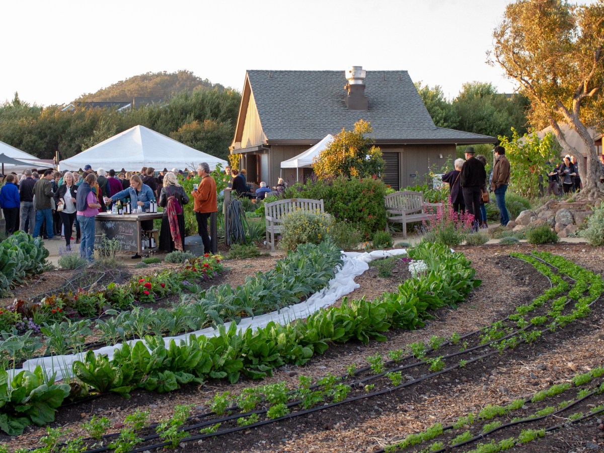 Hannukah Party @ Urban Adamah