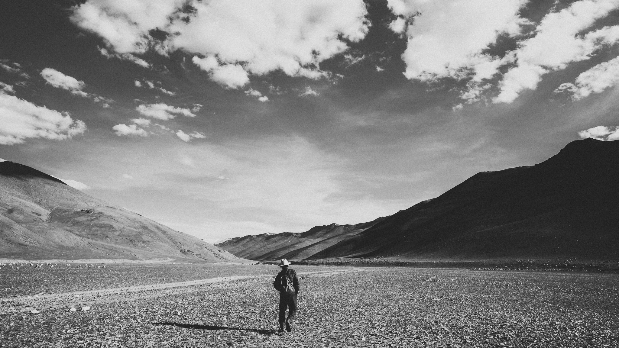 When the Art of Photography Meets Chance