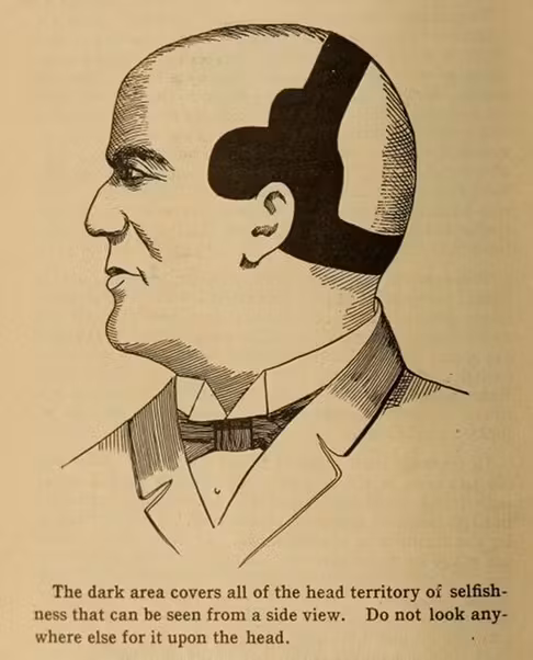 illustration of bald man, text reads: the dark area covers all of the head territory of selfishness that can be seen from a side view. do not look anywhere else for it upon the head.