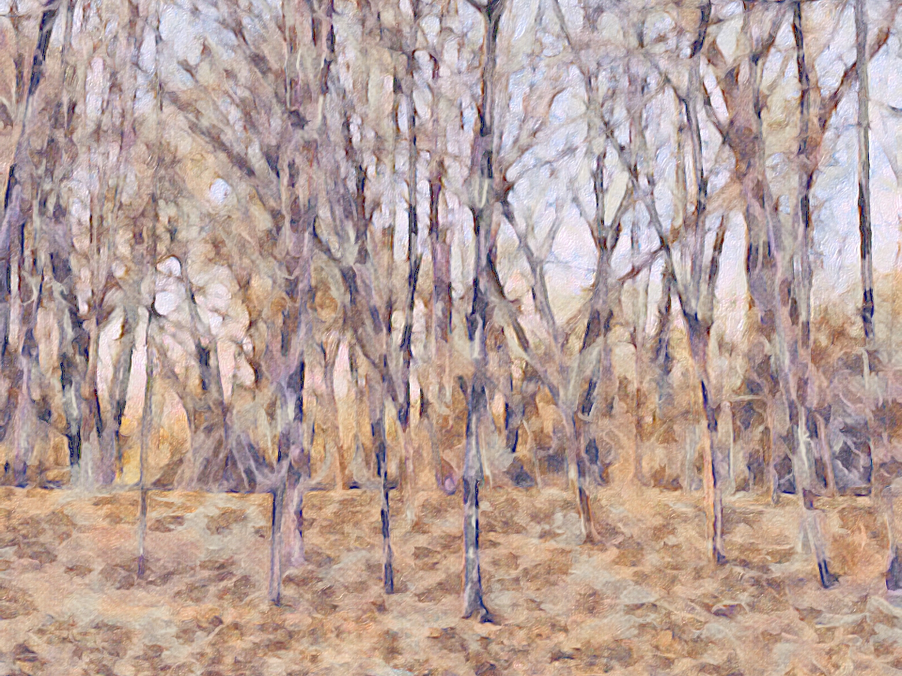 the art of reflection