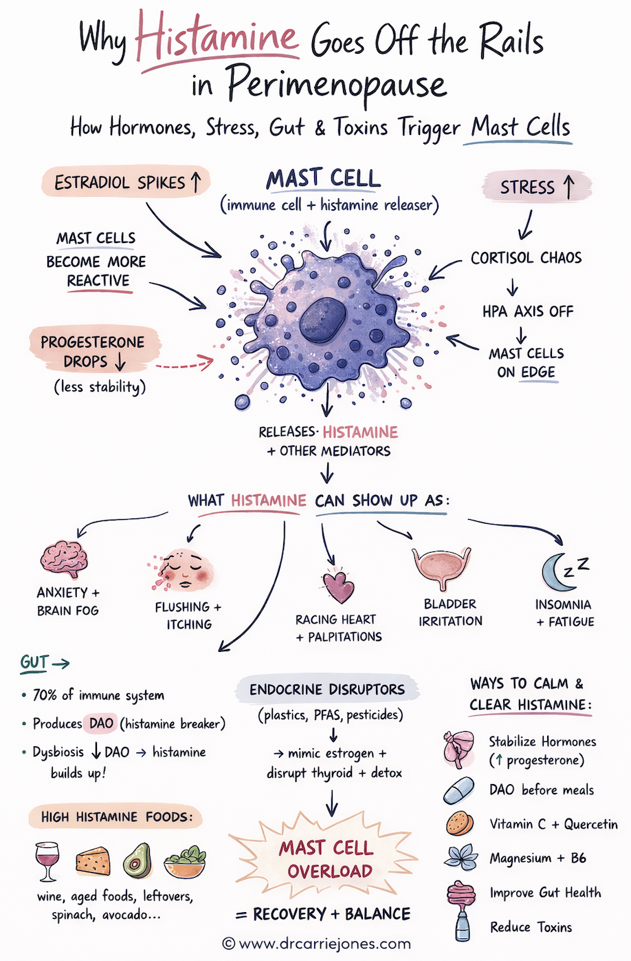 Why Histamine Goes Off the Rails in Perimenopause