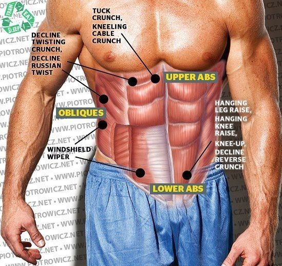 The Truth About Six-Pack Abs: What No One Tells You