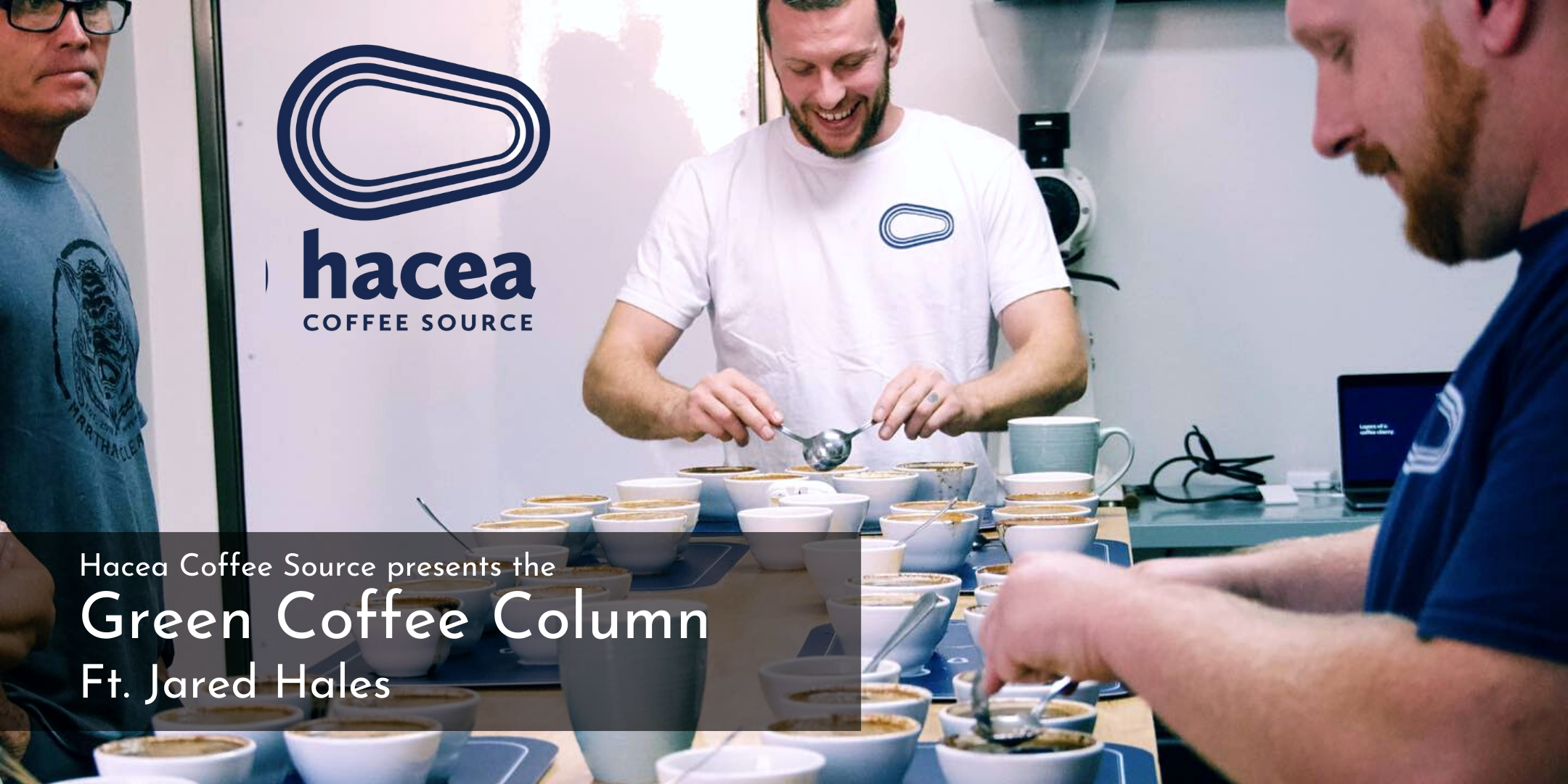 Hacea's Green Coffee Column