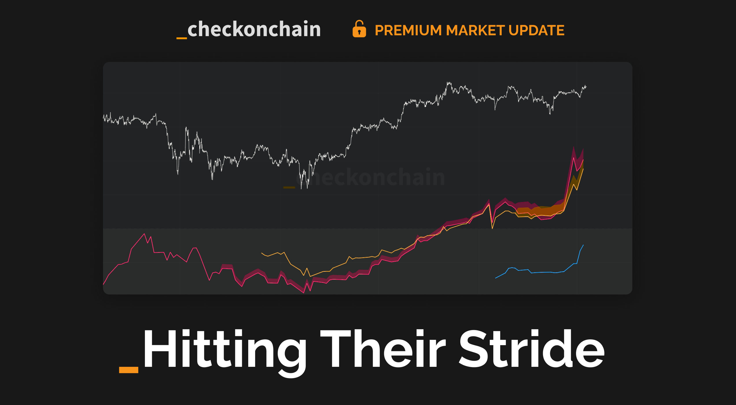 Hitting Their Stride