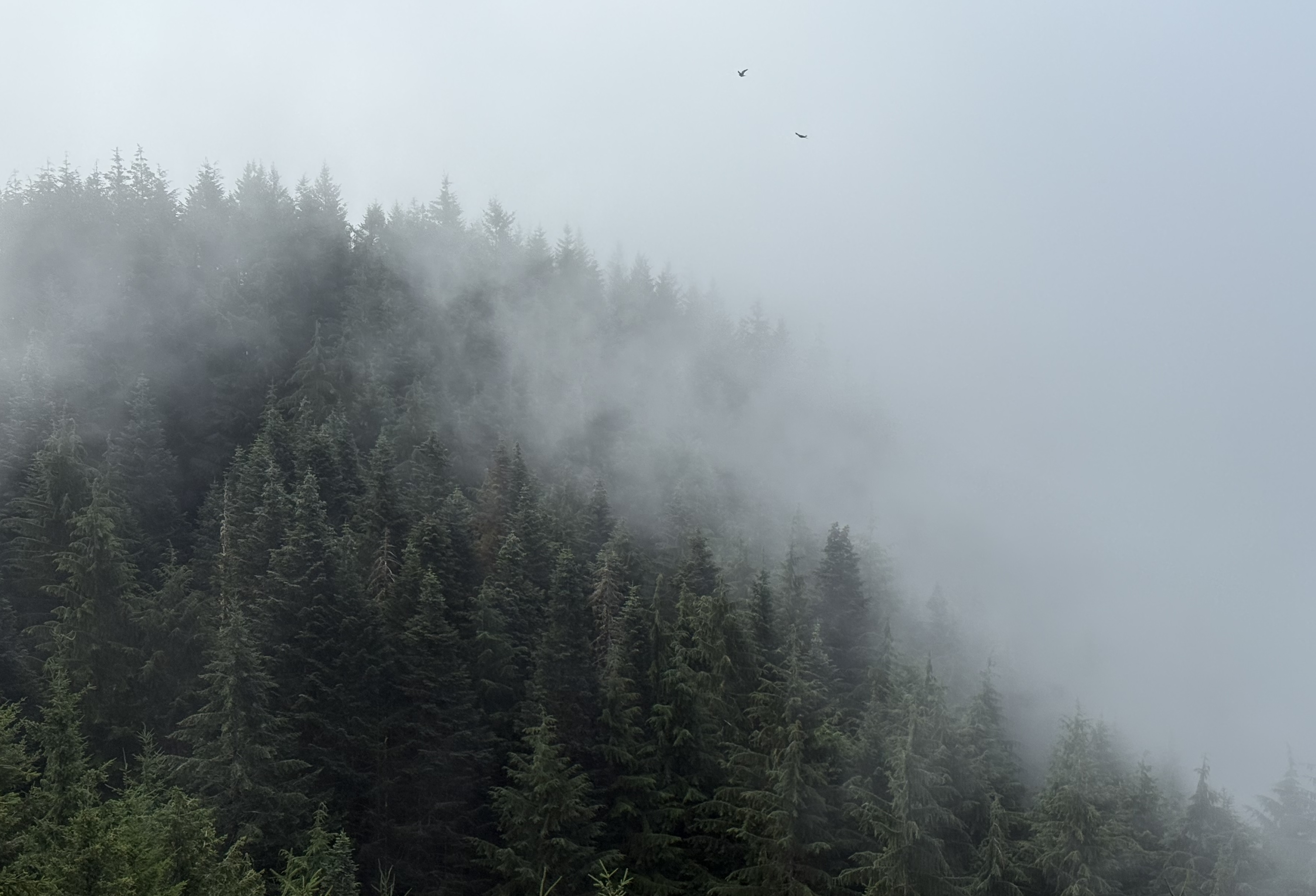 Thinking, Searching, and Acting