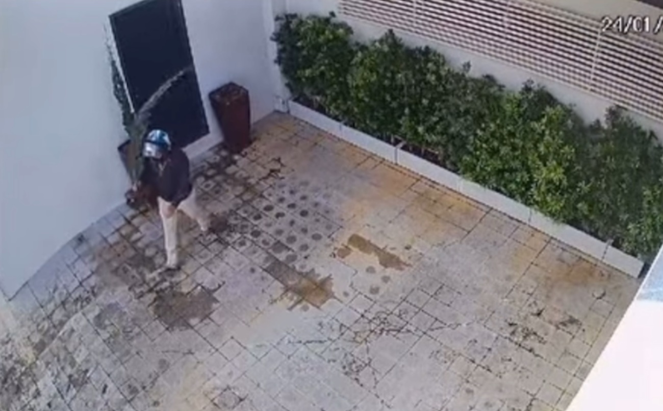 Em Porto Velho, homem é flagrado furtando pinheiro em frente a escritório de advocacia que oferece recompensa por informações