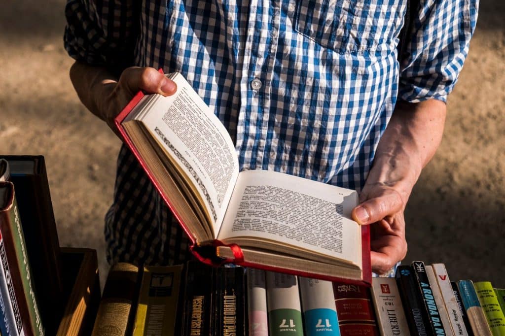 17 days, 17 free concerts: the Porto Book Fair will feature music every  night