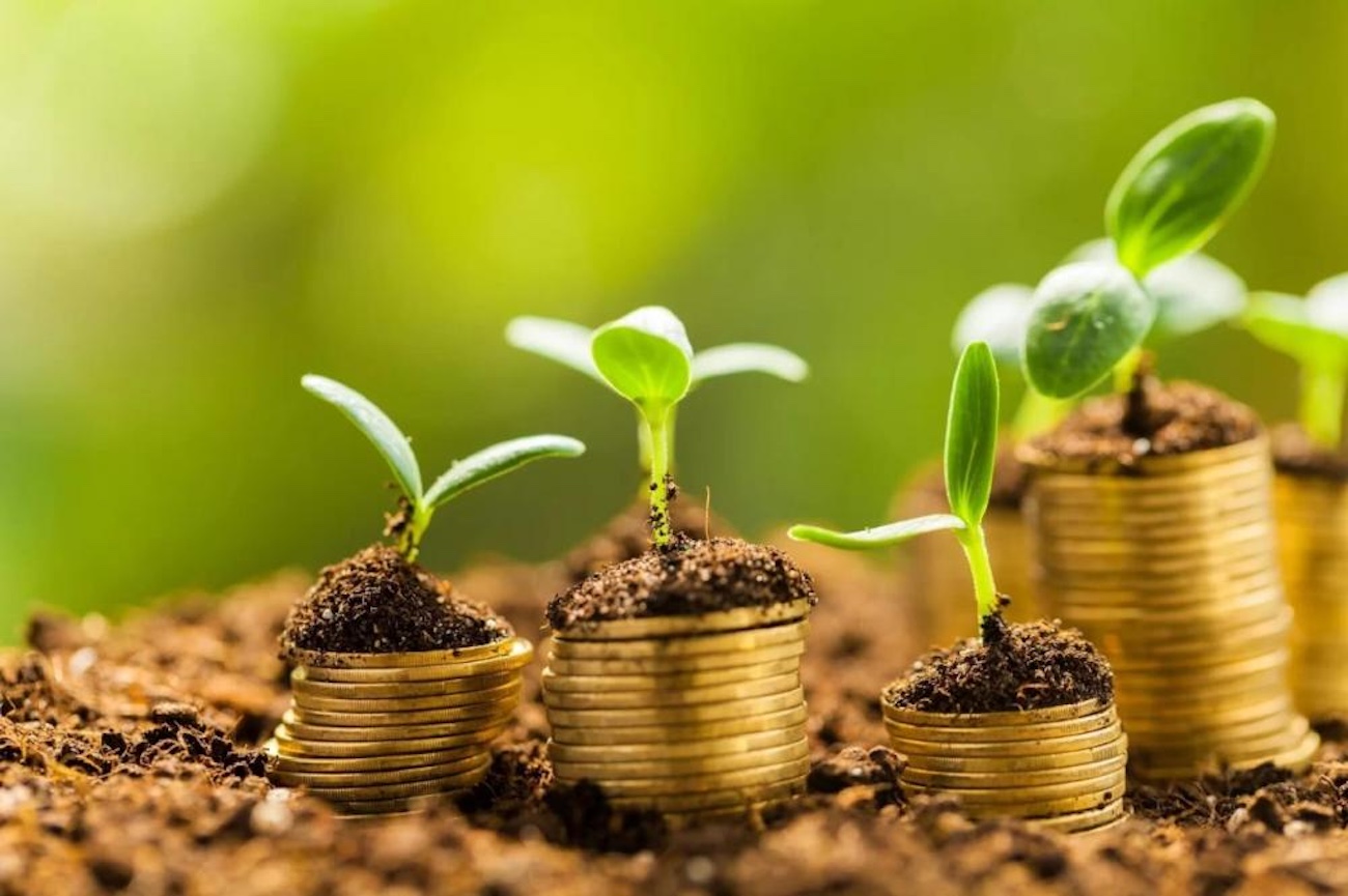 Mudanças previstas para o Funrural impactará o agronegócio no país, alerta a Forvis Mazars