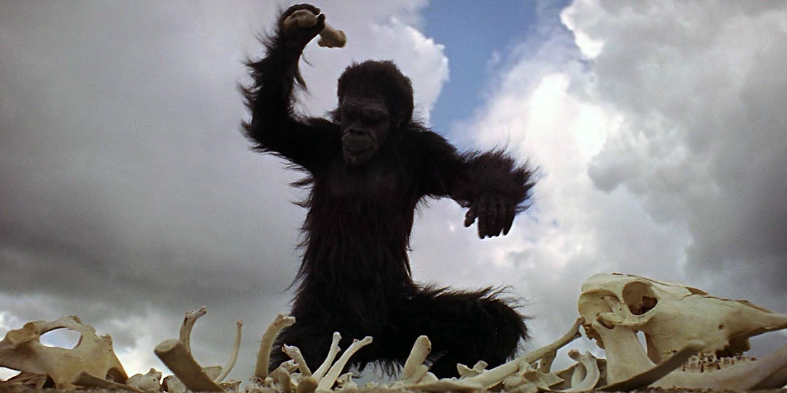 Pretty Accurate & Plausible”: Stanley Kubrick's 2001 Opening Scene Assessed  & Explained By Early Man Expert