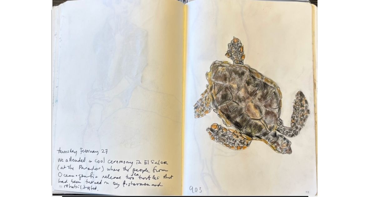 In Praise of Notebooks