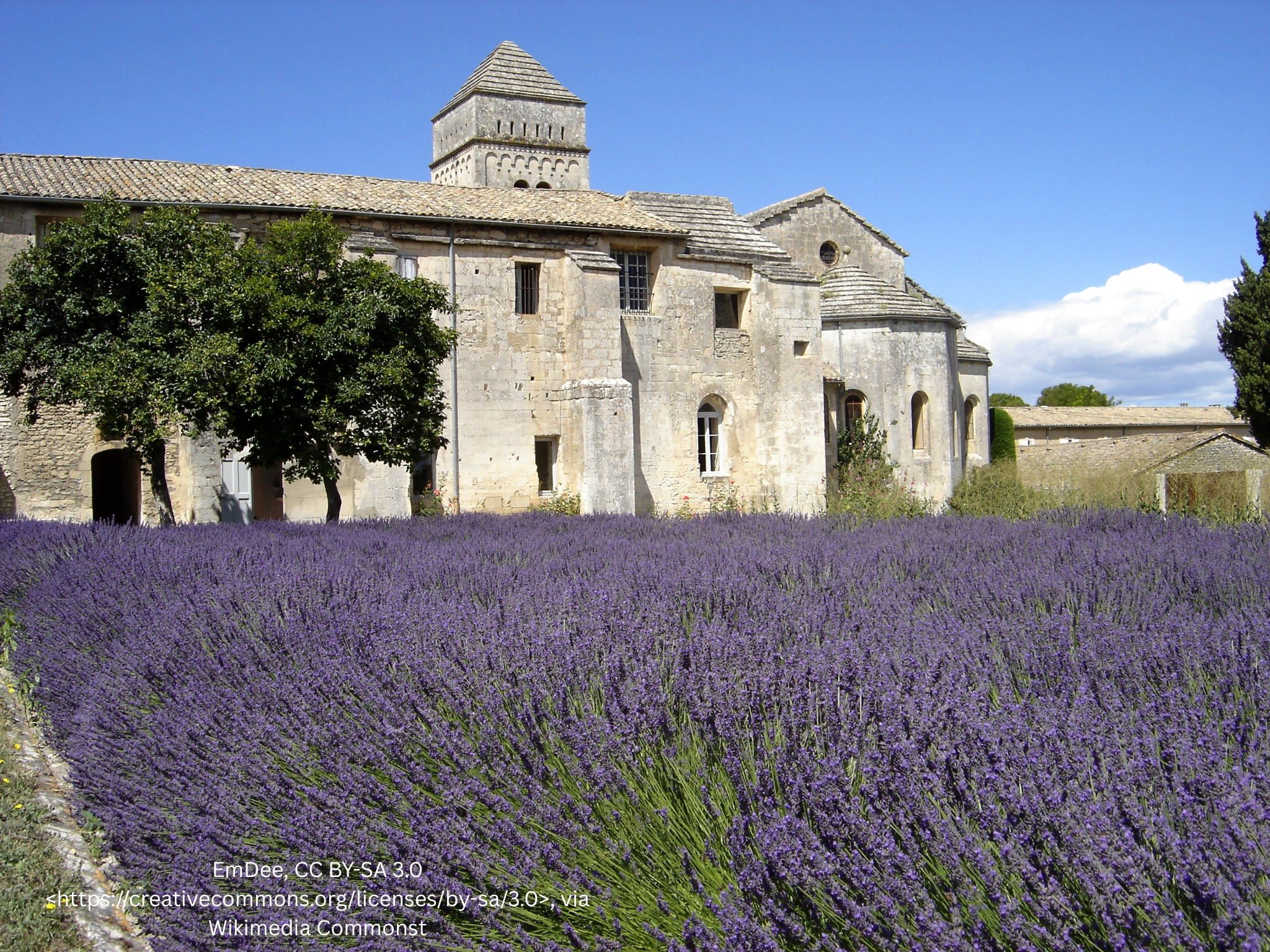 Stone monastery building at Saint-Remy-de-Provence behind a lavender field