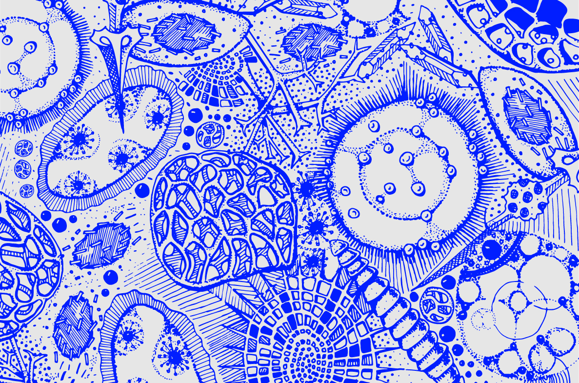 What’s new in biology: spring 2026