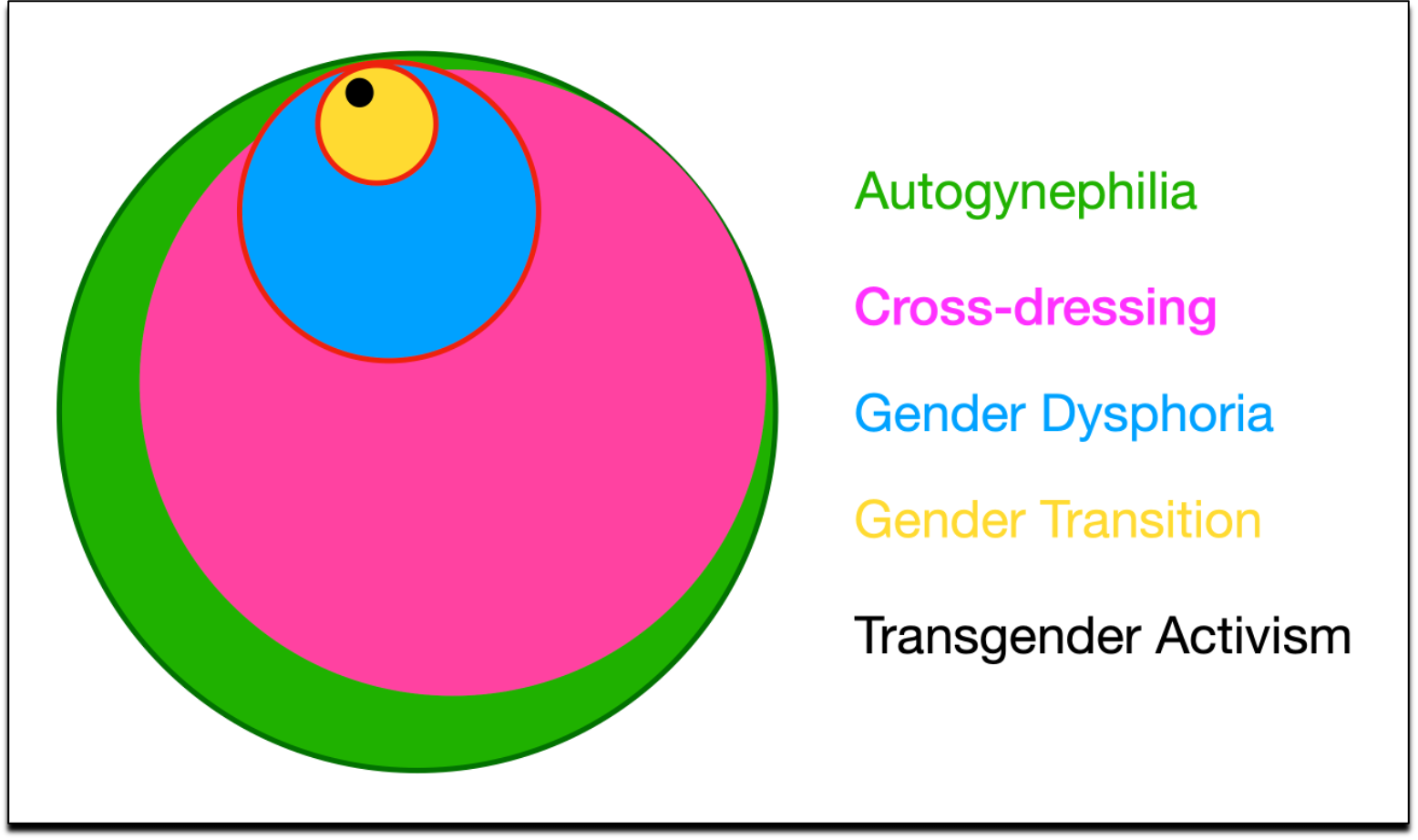 Our Autogynephilia Problems - by Michael Bailey