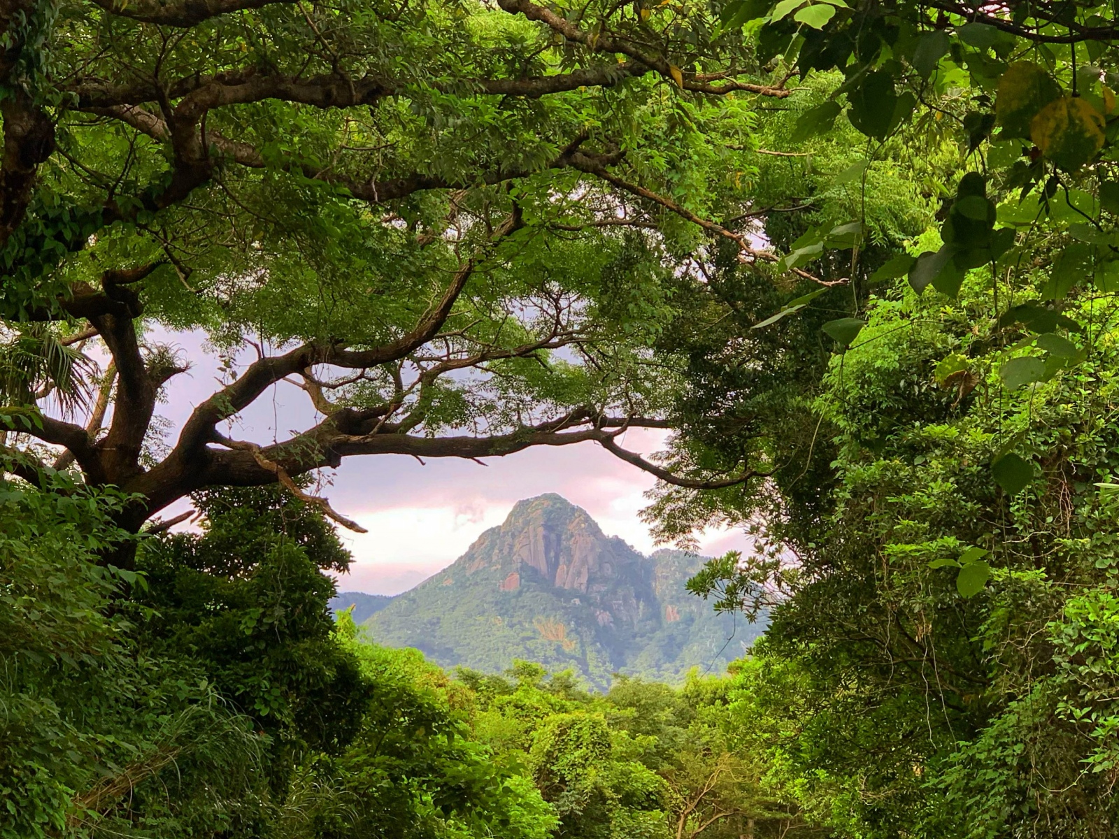 Gone For a Hike - by Burcu Basar - Letters from Japan