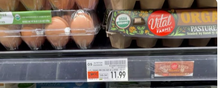 Trump's Presidency Death Spirals When He's Asked About Eggs