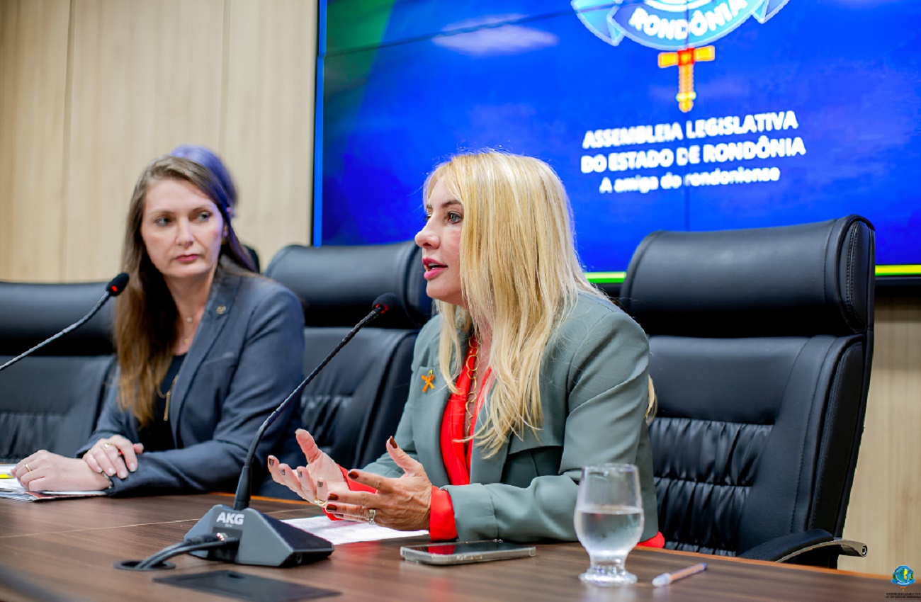 Ieda Chaves assina requerimento que exige planos estaduais contra violência à mulher