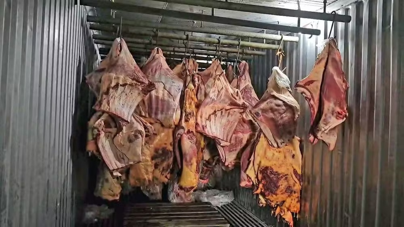 Escândalo da Carne Podre: Empresa revendia alimentos deteriorados das enchentes do RS para todo o Brasil