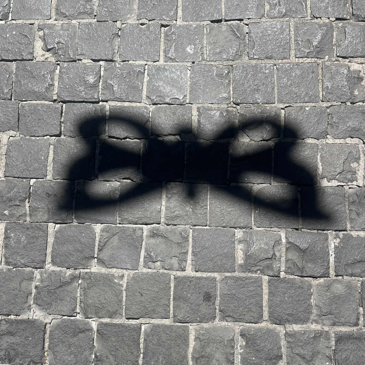Substack profile picture for @j8wong