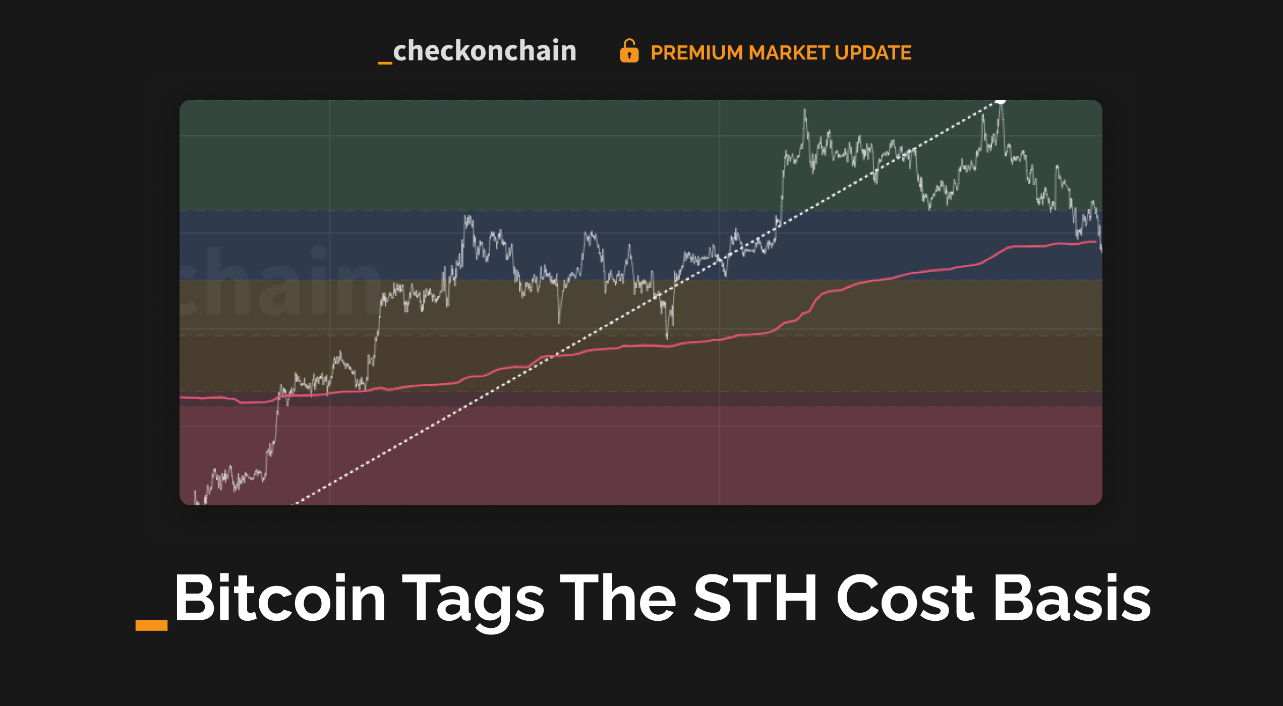 Bitcoin Tags The STH Cost Basis