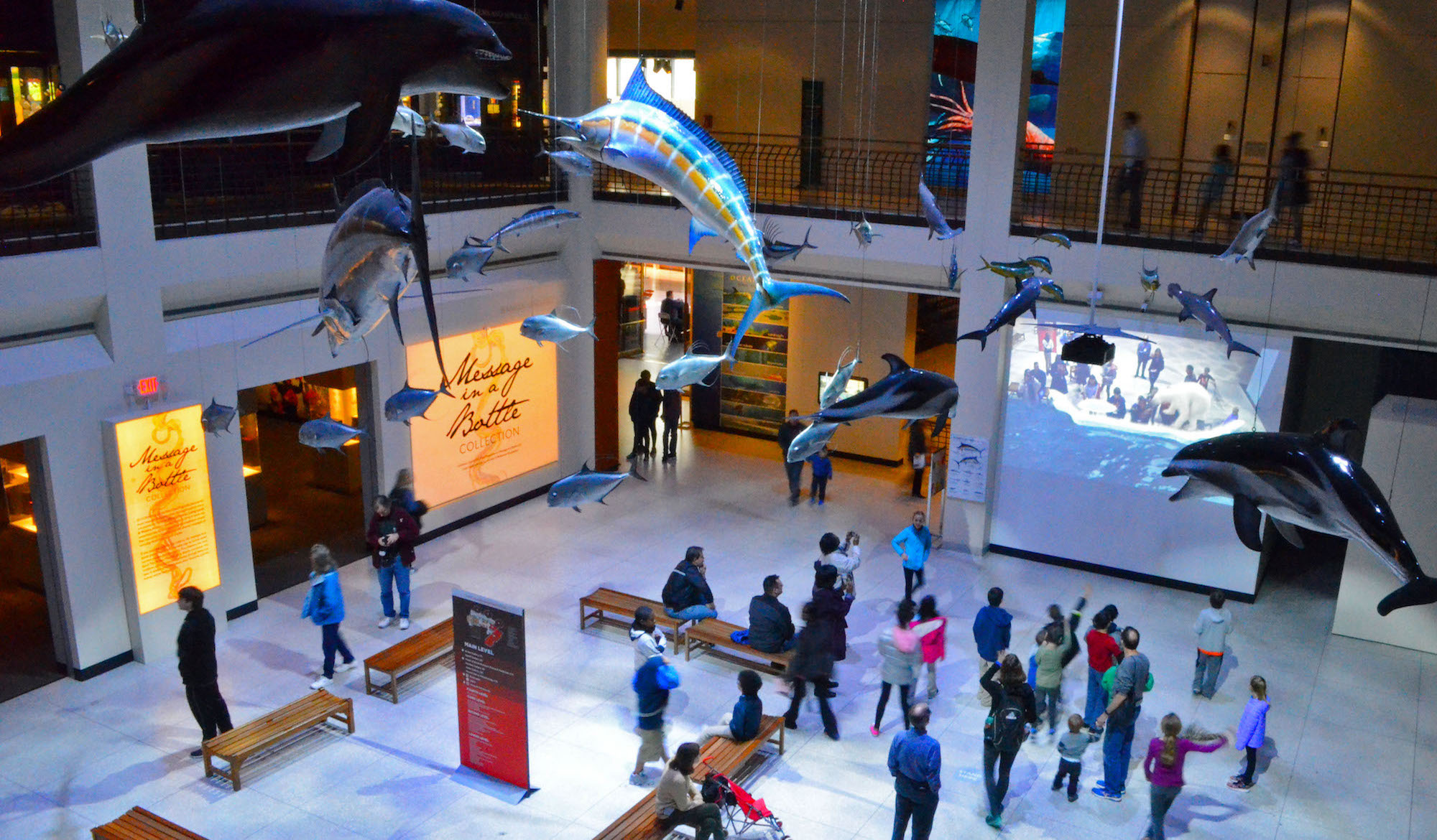 Recap Livestream: Houston Museum of Natural Science – Where Science Meets Spectacle