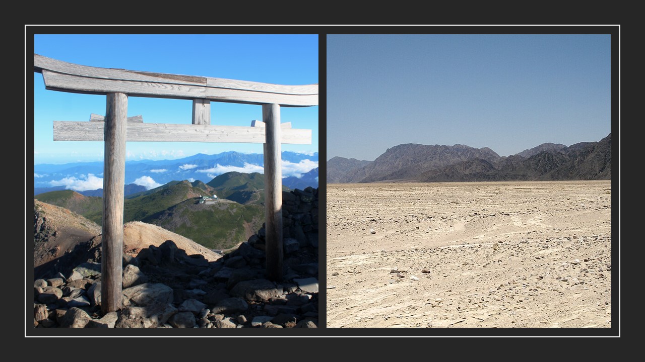 Monotheism vs. Polytheism: How Desert and Forest Designed the Number of Gods