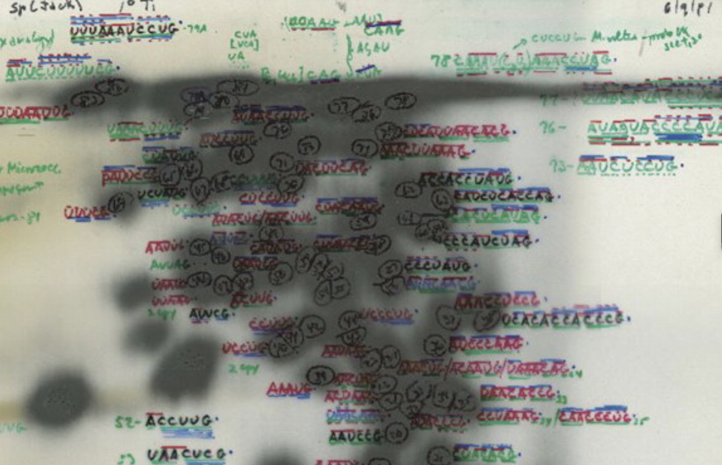 Microbial Dark Matter and the Search for Life on Earth